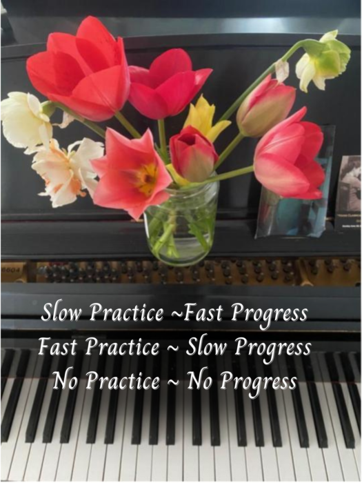 Slow Practice _Fast Progress Fast Practice _ Slow Progress No Practice _ No Progress